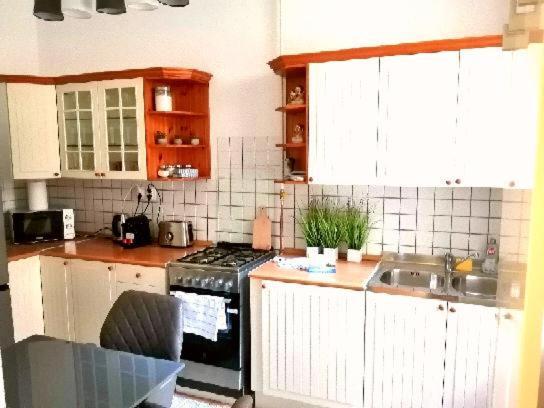 Апартаменты Free Garage Parking, Ac And Bikes In The Downtown Будапешт Экстерьер фото